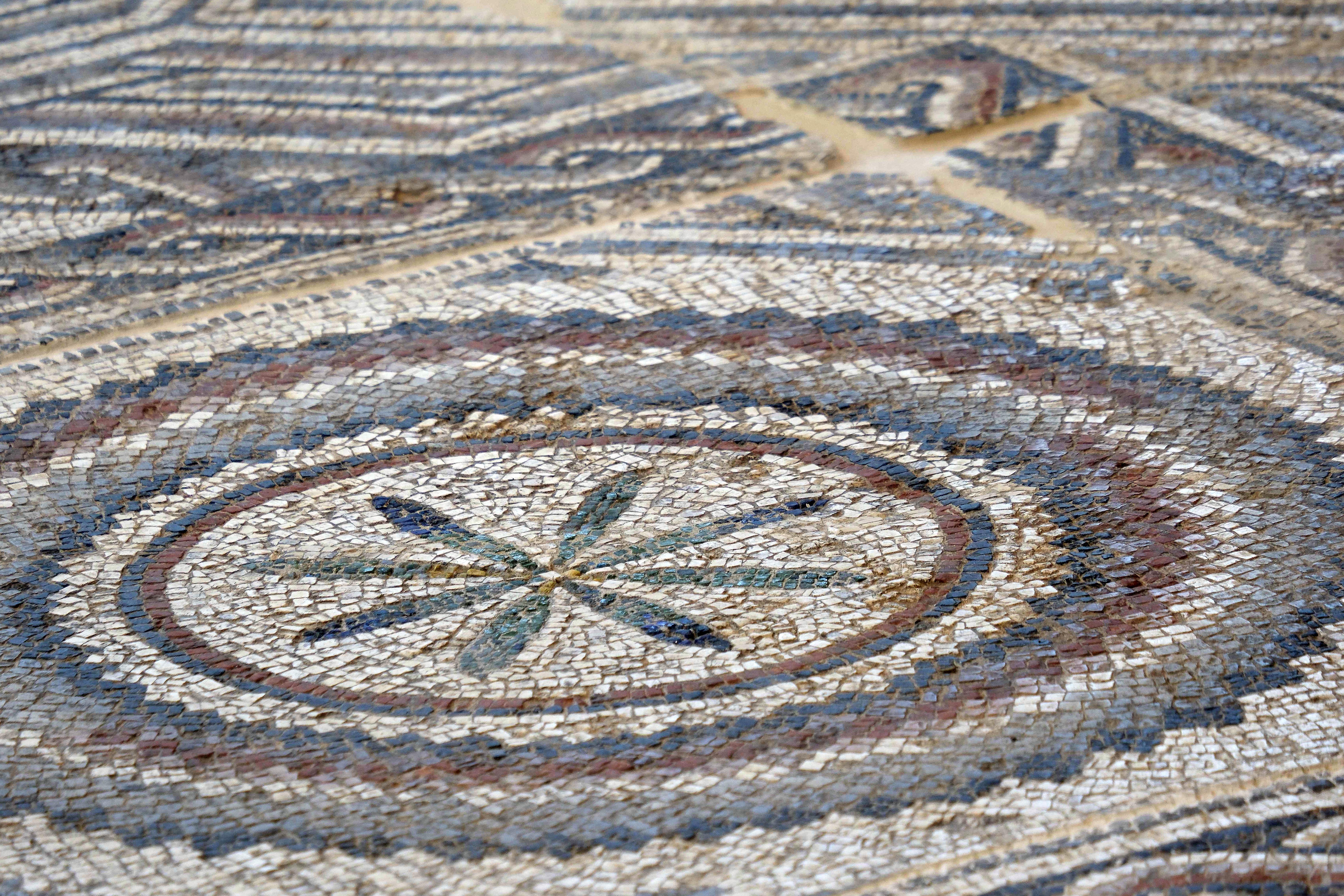 A Carini nel weekend tornano le Vie dei Tesori: il mosaico De Spuches apre al pubblico per la prima volta